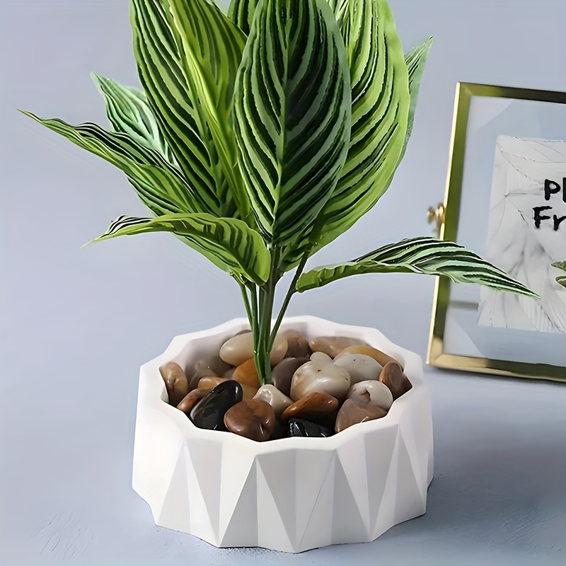 1/2pcs Large Round Irregular S - Potsticker Mold 评论和价格