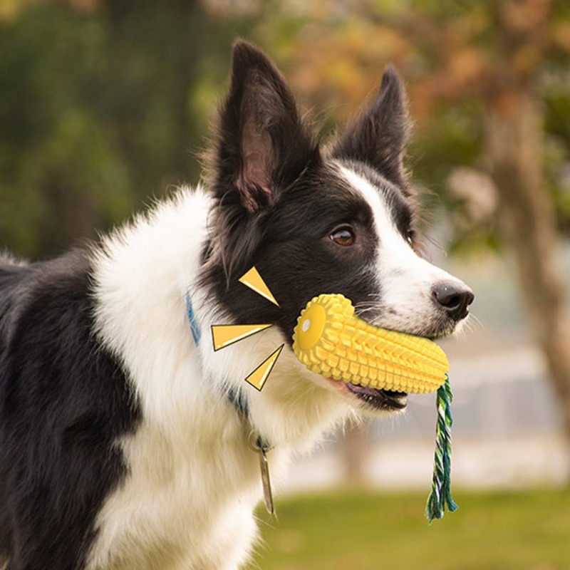 Squeaky Corn Dog Toothbrush Ch - Corn Dog Stick 评论和价格