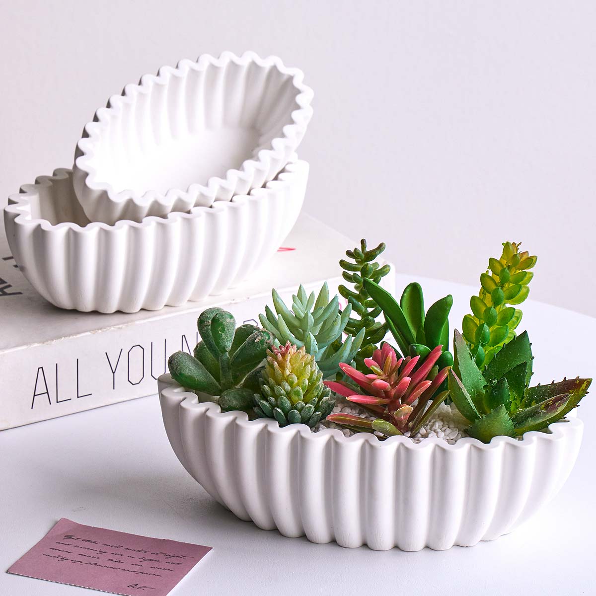 S/M/L Oval Striped Storage Bow - Potsticker Mold 评论和价格